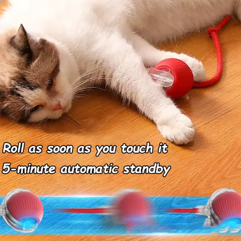 Hot cat toys are automatically teasing cat balls and self-exciting cat sticks and ticks and resistant to wear and bite pet toys